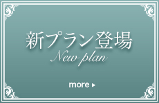 新プラン登場